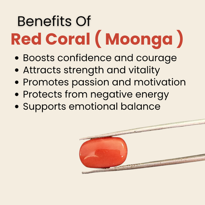 Natural Red Coral (Moonga) Gemstone – Cabochon Shape (6.50 Carat | 7.08 Ratti | 14.2 × 8.3 × 6.9 mm)