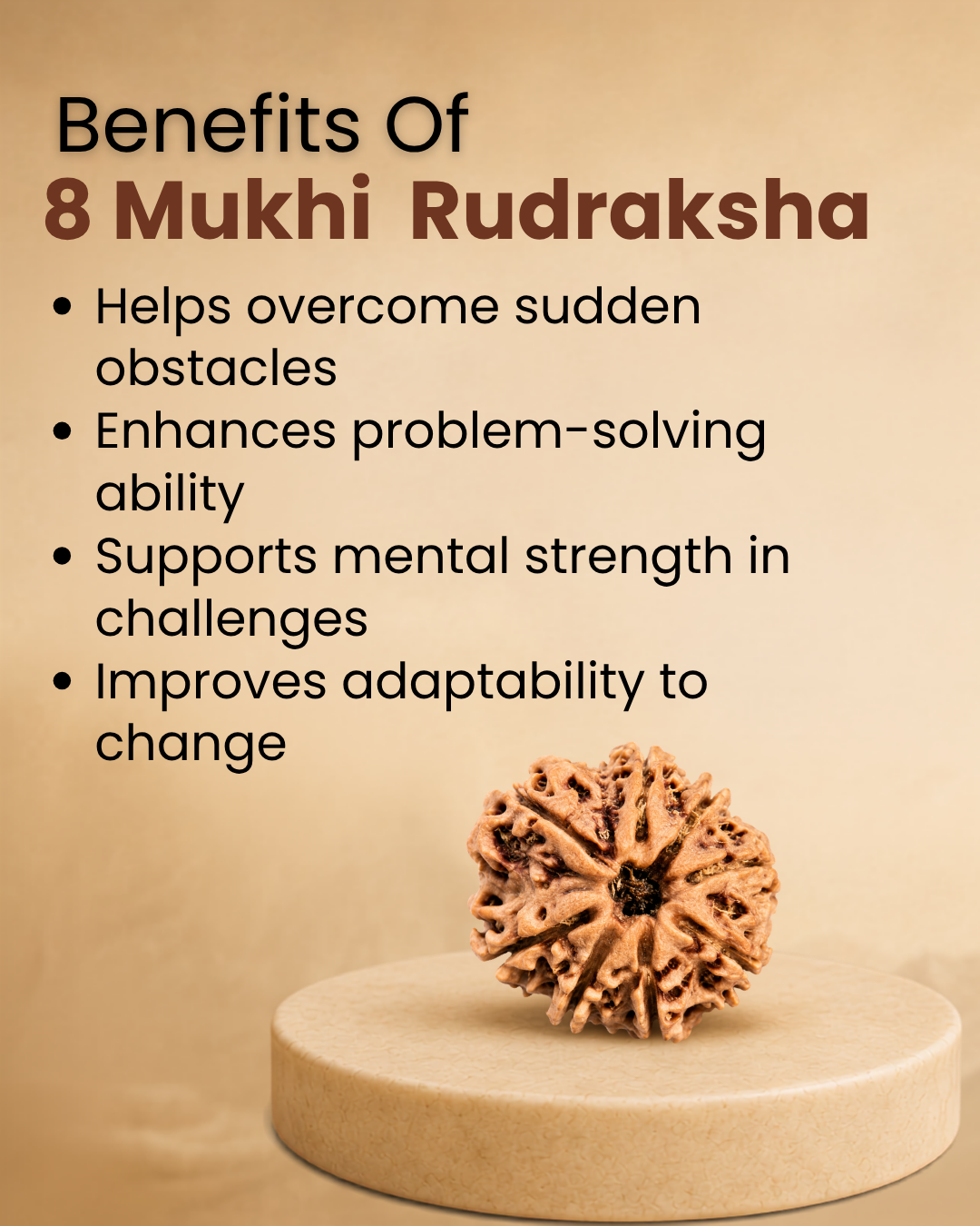 8 Mukhi Rudraksha (Natural | Nepal Origin)