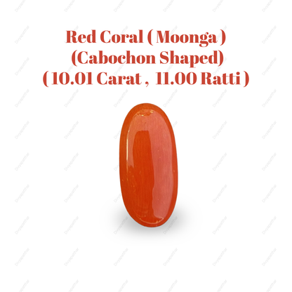Natural Red Coral (Moonga) Gemstone – Cabochon Shape (10.01 Carat | 11.00 Ratti | 18.7 × 9.1 × 7 mm)