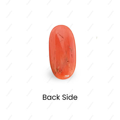 Natural Red Coral (Moonga) Gemstone – Cabochon Shape (10.01 Carat | 11.00 Ratti | 18.7 × 9.1 × 7 mm)