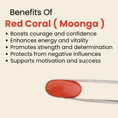 Natural Red Coral (Moonga) Gemstone – Cabochon Shape (10.01 Carat | 11.00 Ratti | 18.7 × 9.1 × 7 mm)