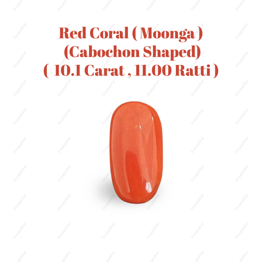 Natural Red Coral (Moonga) Gemstone – Cabochon Shape (10.10 Carat | 11.00 Ratti | 18.5 × 9.6 × 6.8 mm)