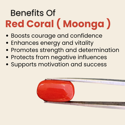 Natural Red Coral (Moonga) Gemstone – Cabochon Shape (10.10 Carat | 11.00 Ratti | 18.5 × 9.6 × 6.8 mm)