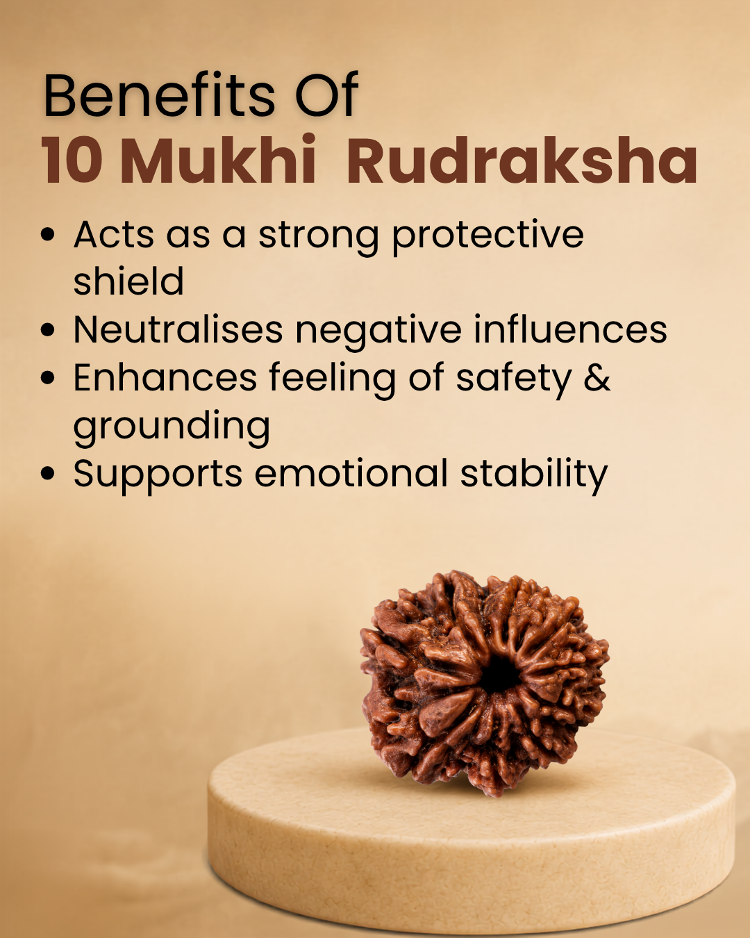 10 Mukhi Rudraksha (Natural | Nepal Origin)