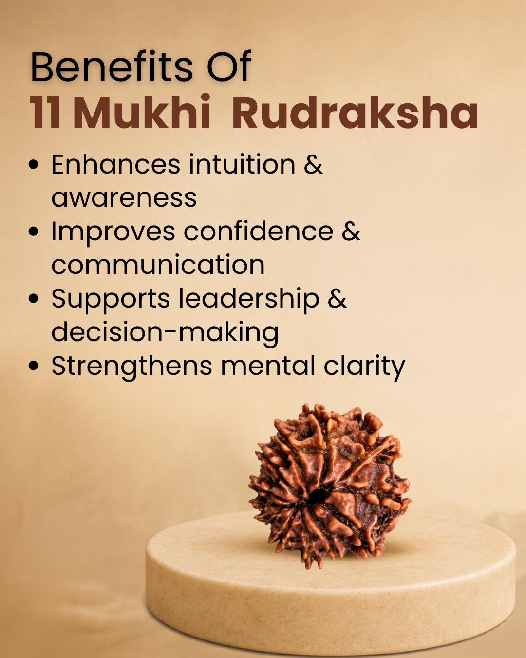 11 Mukhi Rudraksha (Natural | Nepal Origin)