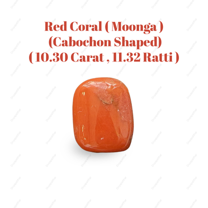 Natural Red Coral (Moonga) Gemstone – Cabochon Shape (10.30 Carat | 11.32 Ratti | 14.5 × 11.9 × 7.7 mm)