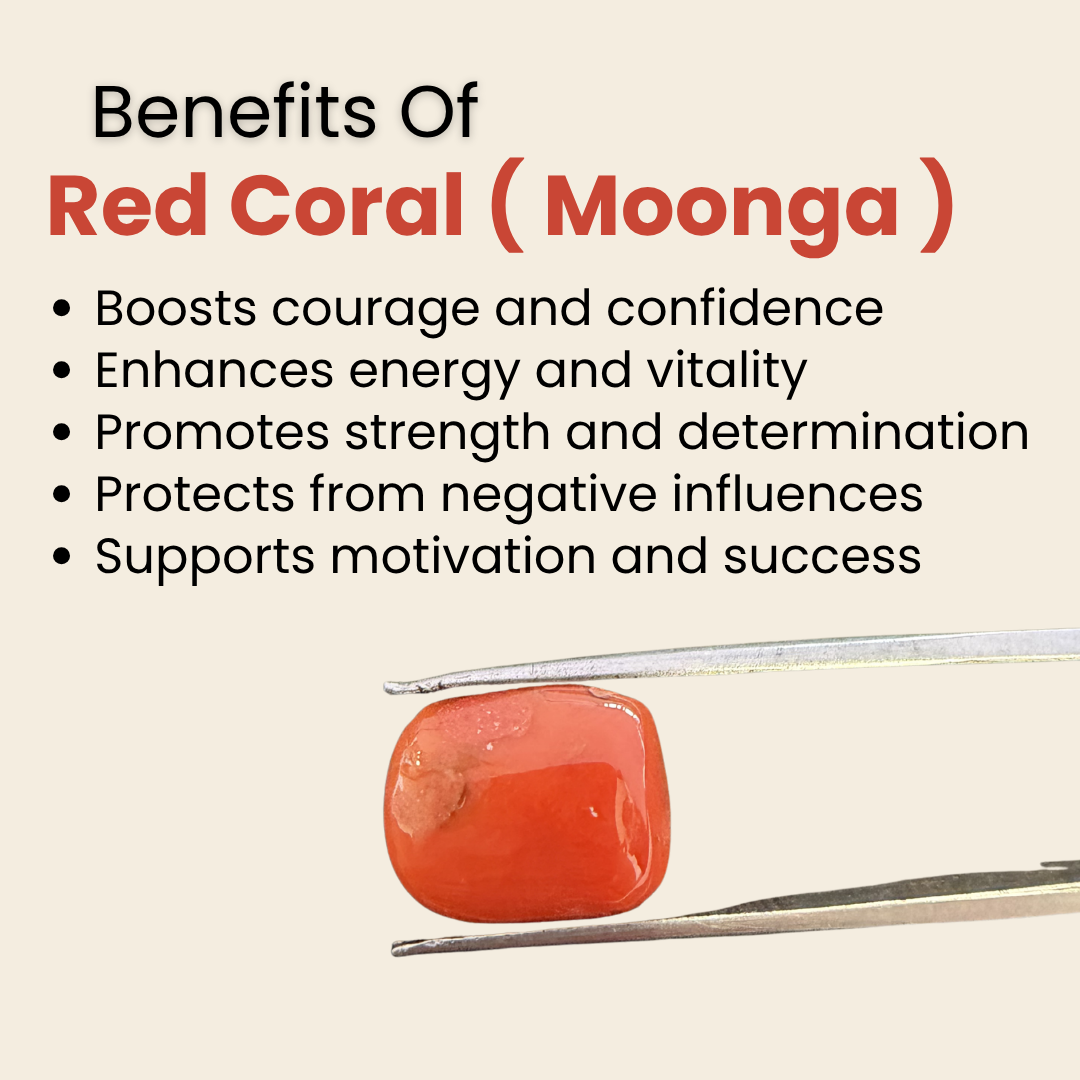 Natural Red Coral (Moonga) Gemstone – Cabochon Shape (10.30 Carat | 11.32 Ratti | 14.5 × 11.9 × 7.7 mm)