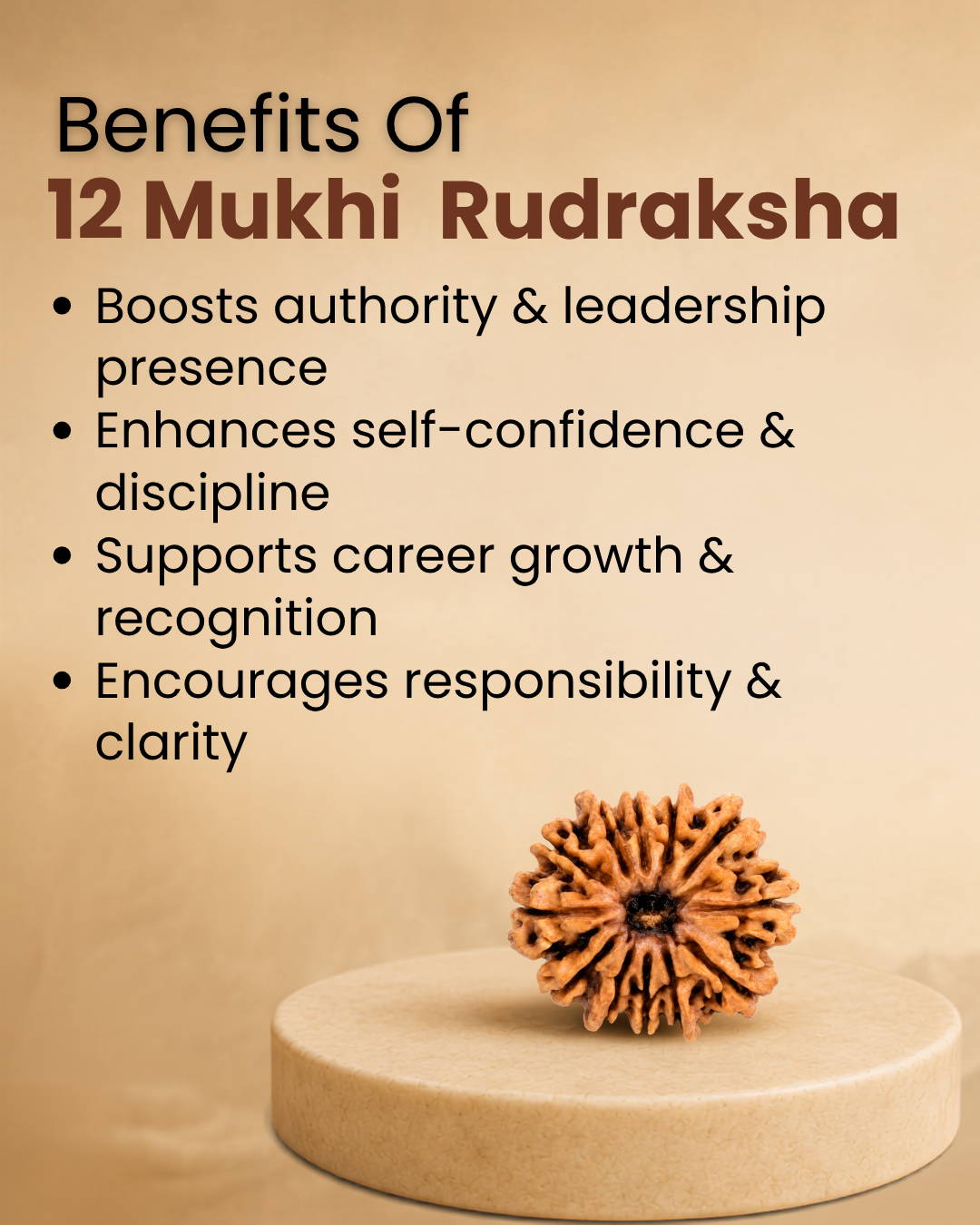 12 Mukhi Rudraksha (Natural | Nepal Origin)