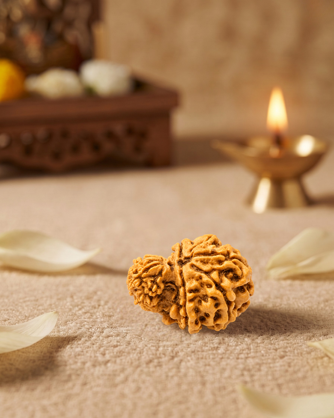 Garbh Gauri Rudraksha (Natural | Nepal Origin)