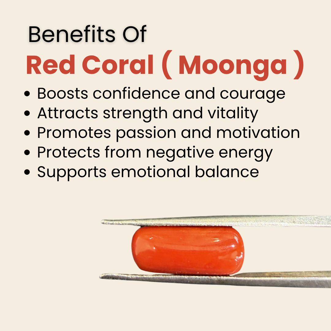 Natural Italian Red Coral (Moonga) Gemstone – Cabochon Shape (7.15 Carat | 7.79 Ratti | 16.8 × 7.0 × 7.1 mm)