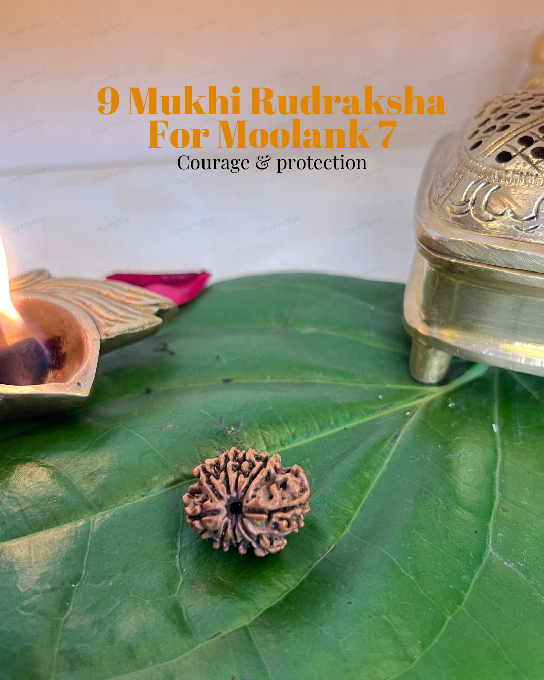 9 Mukhi Rudraksha for Moolank 7 and Spiritual Seekers Ruled by Ketu (Natural | Nepal Origin)