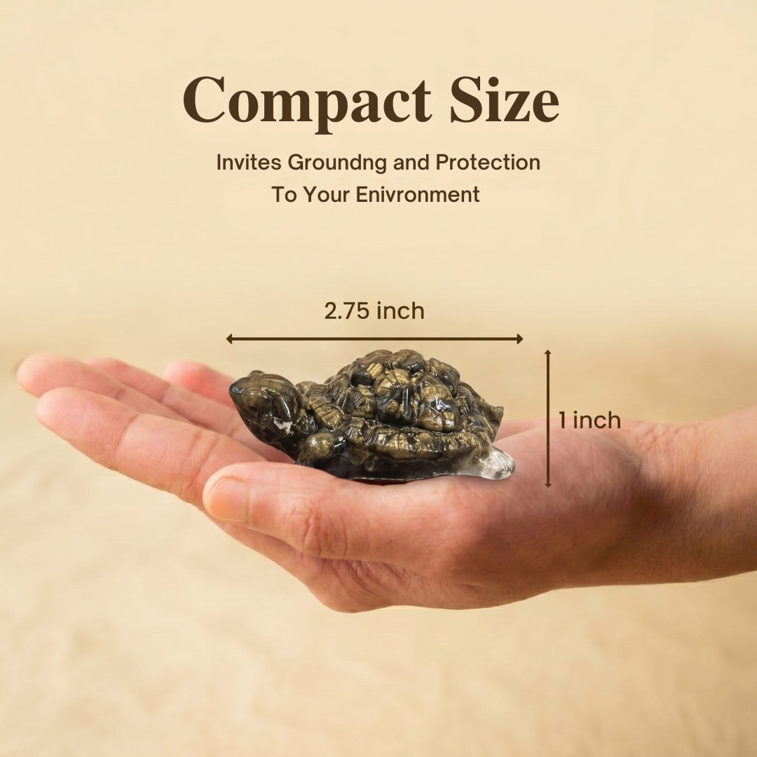 Pyrite Tortoise for Vastu Purpose – Wealth, Protection & Financial Growth
