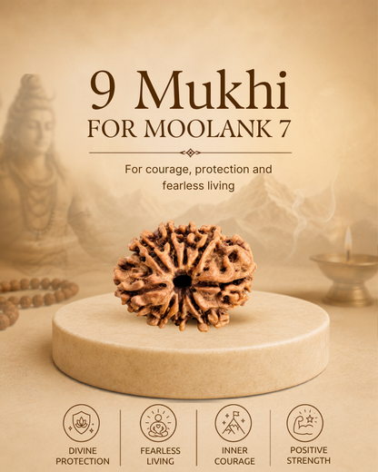 9 Mukhi Rudraksha for Moolank 7 and Spiritual Seekers Ruled by Ketu (Natural | Nepal Origin)