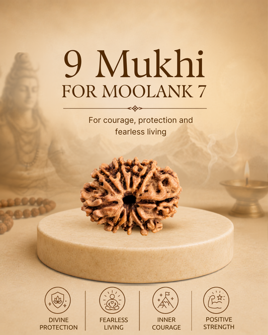 9 Mukhi Rudraksha for Moolank 7 and Spiritual Seekers Ruled by Ketu (Natural | Nepal Origin)