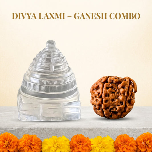 DIVYA LAXMI – GANESH COMBO ( Energised Ganesh Rudraksha + Crystal Shree Yantra )