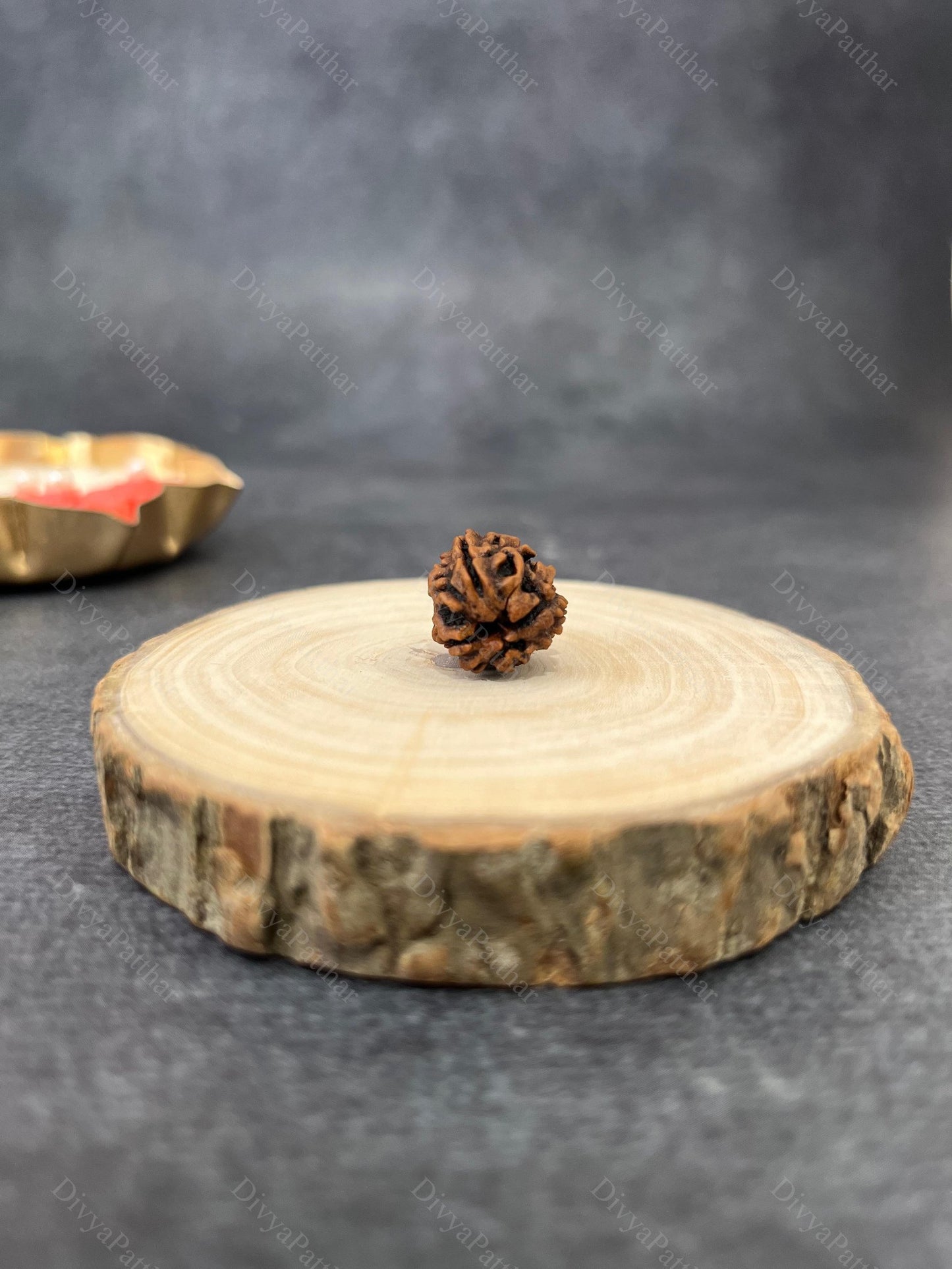 3 Mukhi Rudraksha (Natural | Nepal Origin)