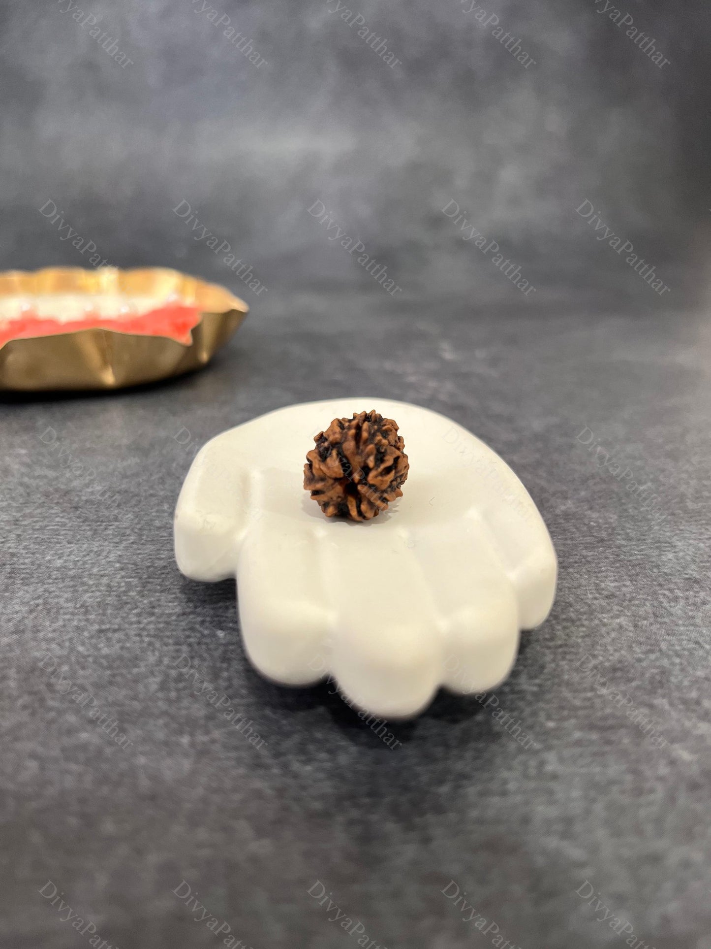 3 Mukhi Rudraksha (Natural | Nepal Origin)