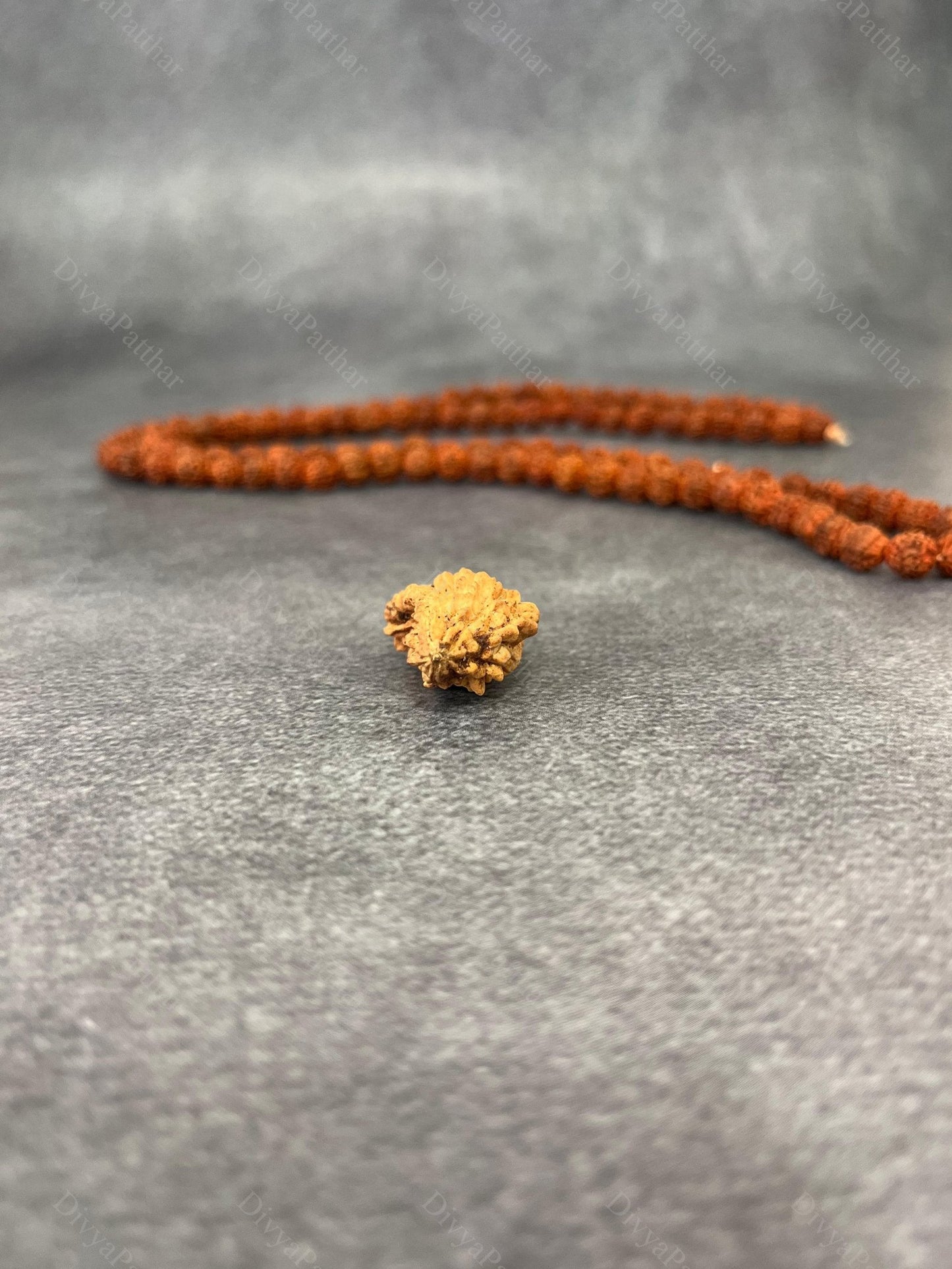 1 Mukhi Rudraksha (Natural | Rameshwaram Origin)