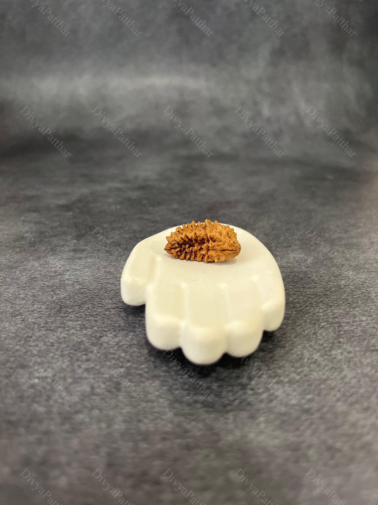 1 Mukhi Rudraksha (Natural | Rameshwaram Origin)