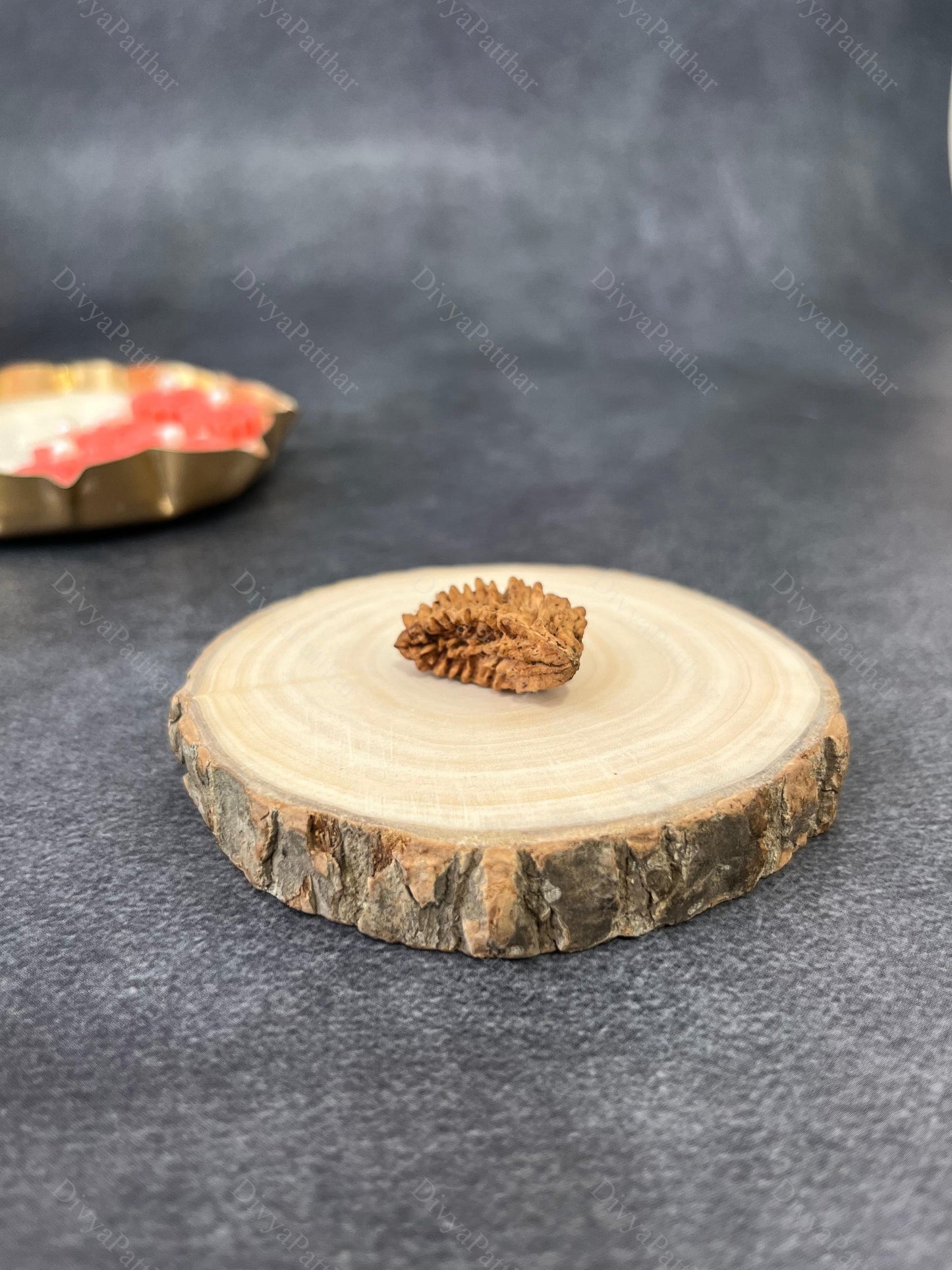 1 Mukhi Rudraksha (Natural | Rameshwaram Origin)
