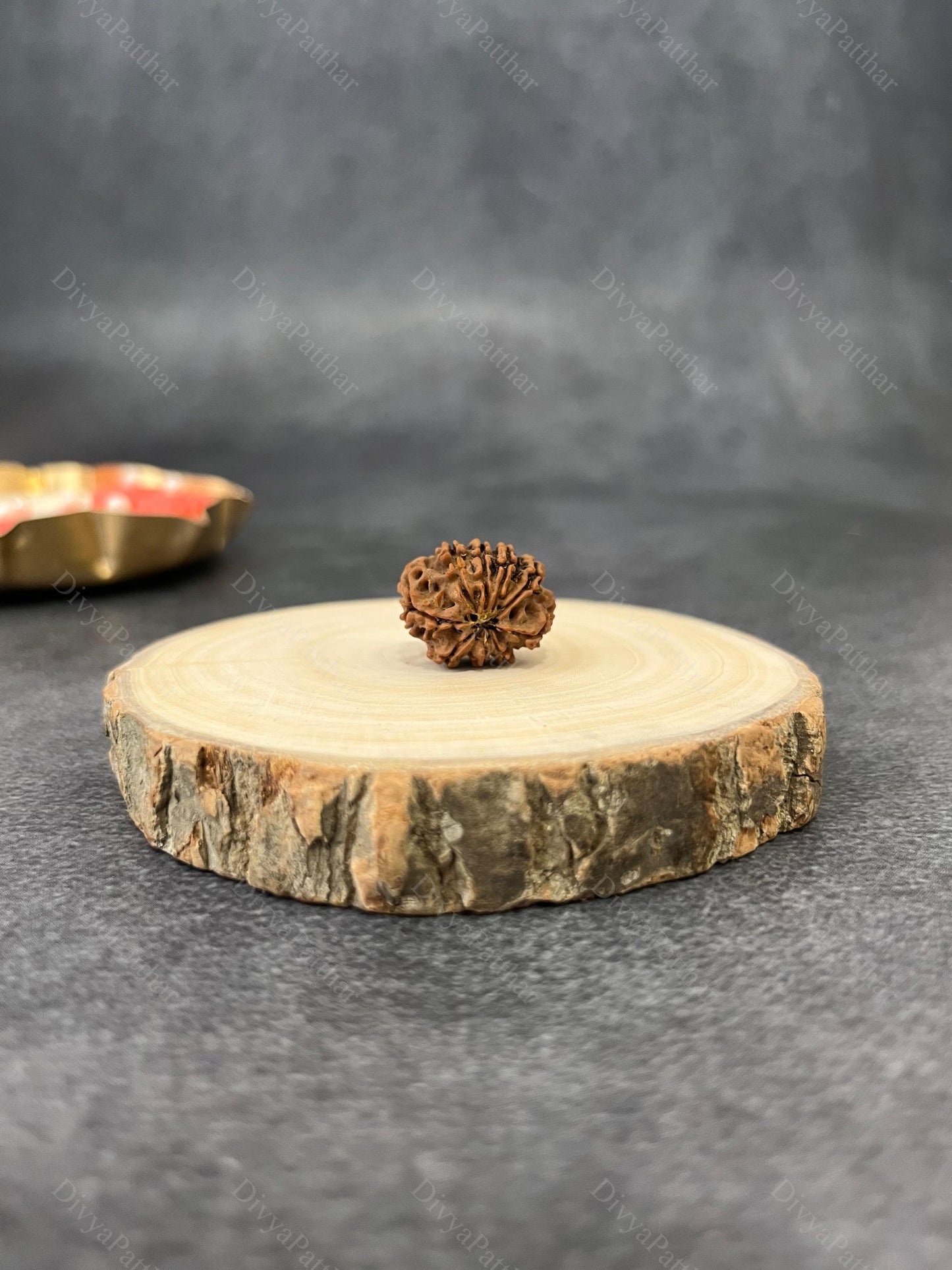 9 Mukhi Rudraksha (Natural | Nepal Origin)