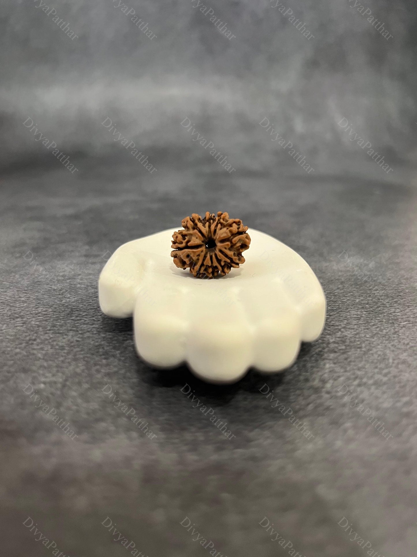 9 Mukhi Rudraksha (Natural | Nepal Origin)