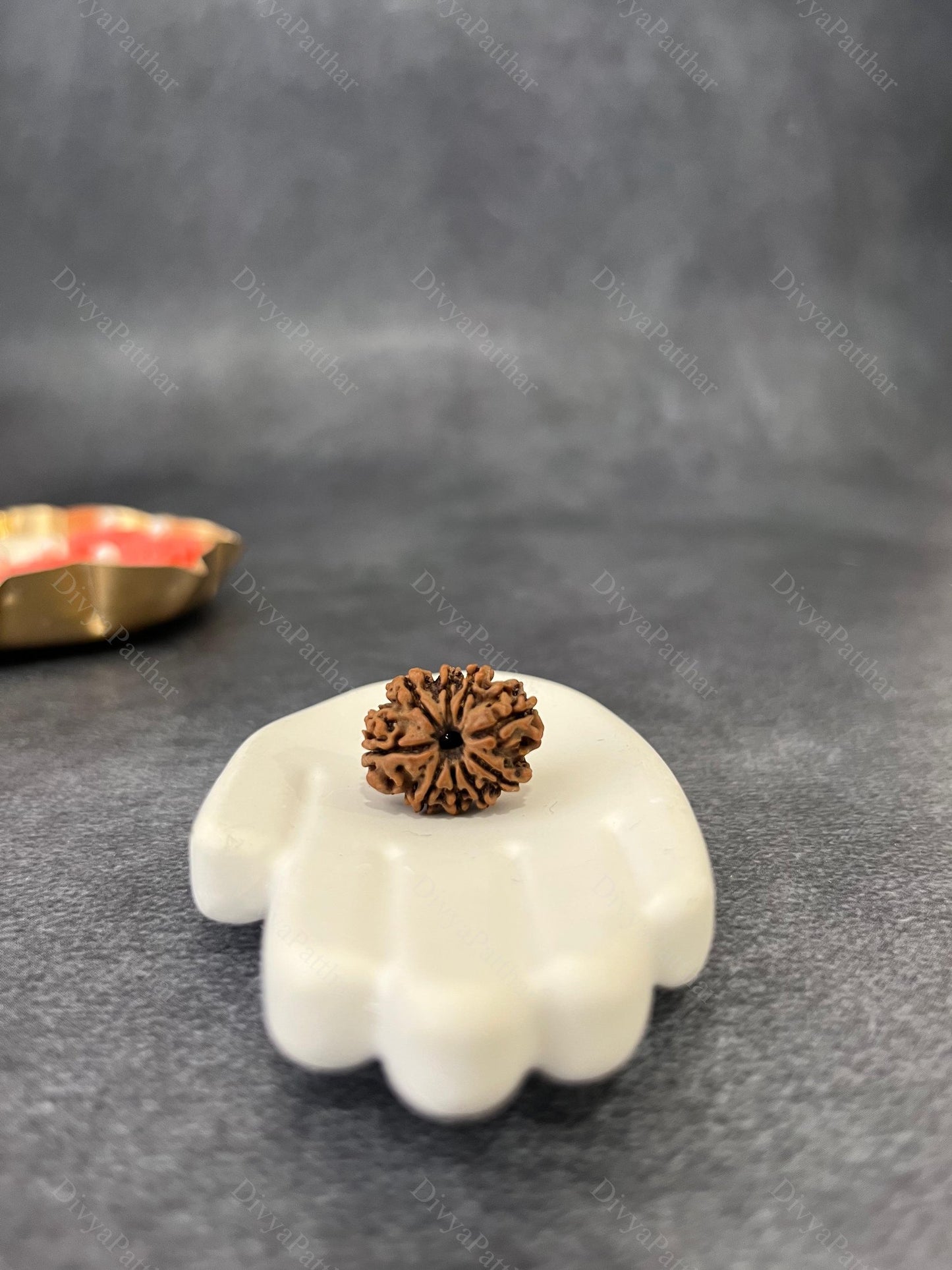 9 Mukhi Rudraksha (Natural | Nepal Origin)