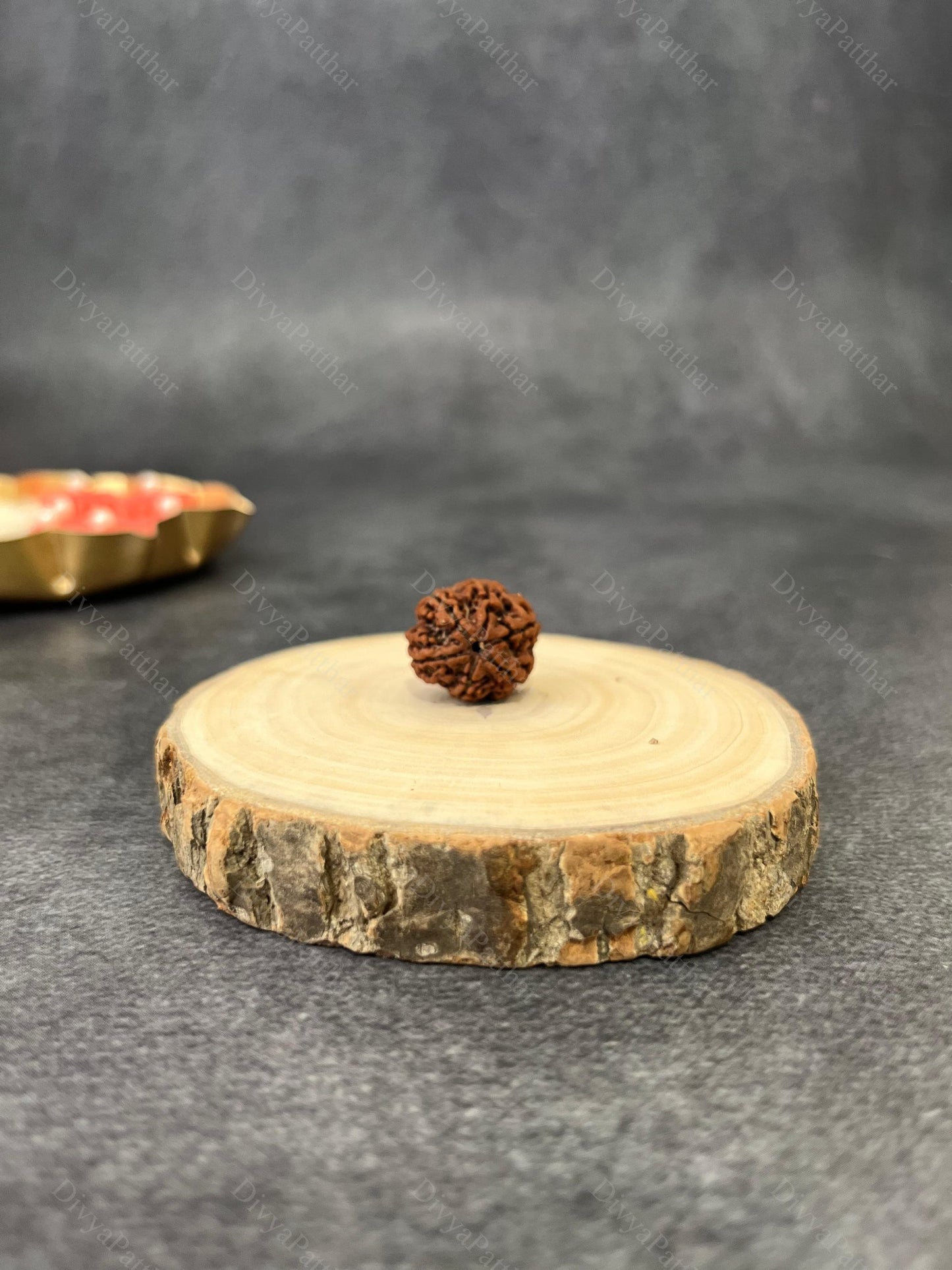 5 Mukhi Rudraksha (Natural | Nepal Origin)