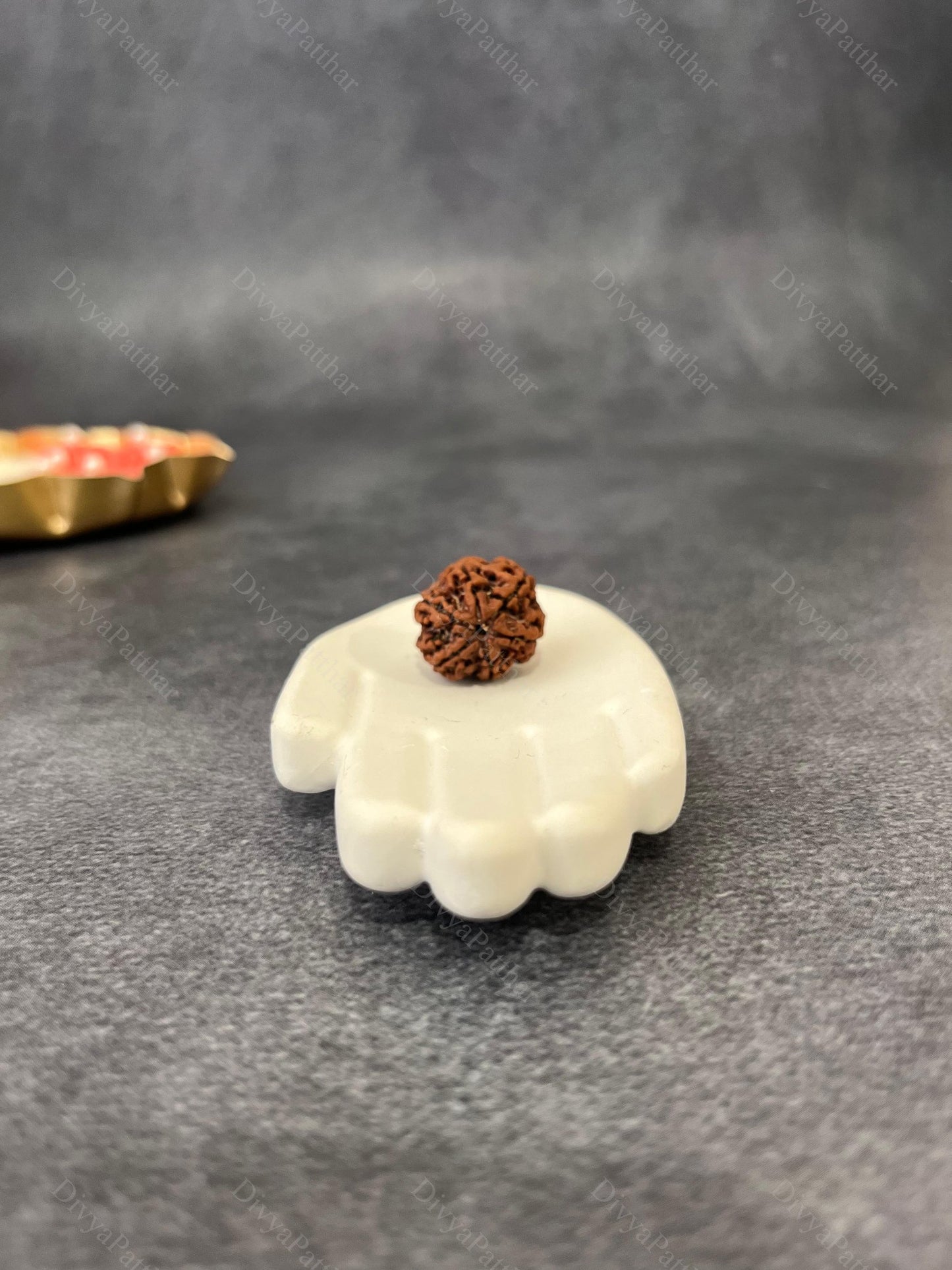 5 Mukhi Rudraksha (Natural | Nepal Origin)