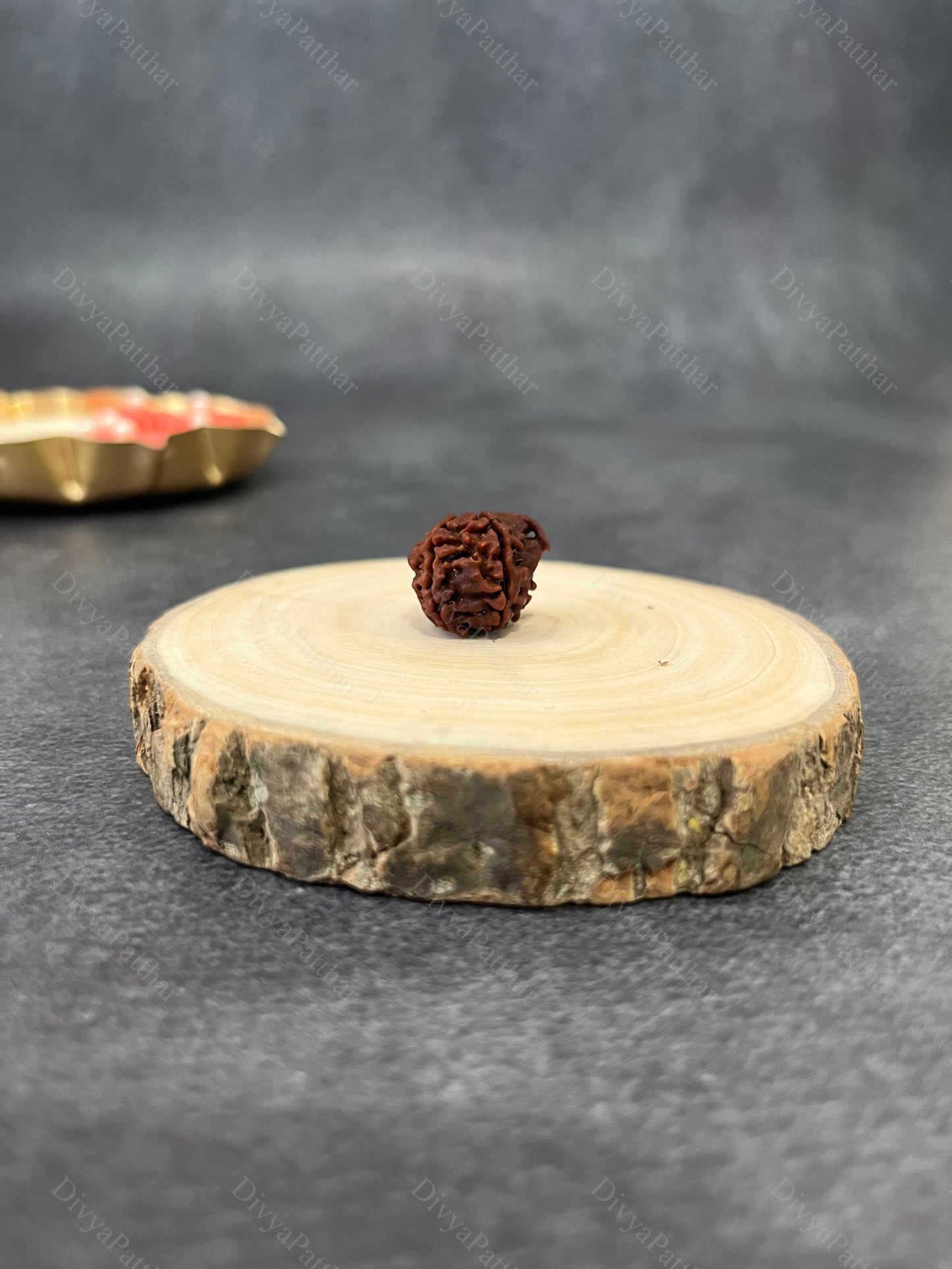 Ganesh Rudraksha (Natural | Nepal Origin)
