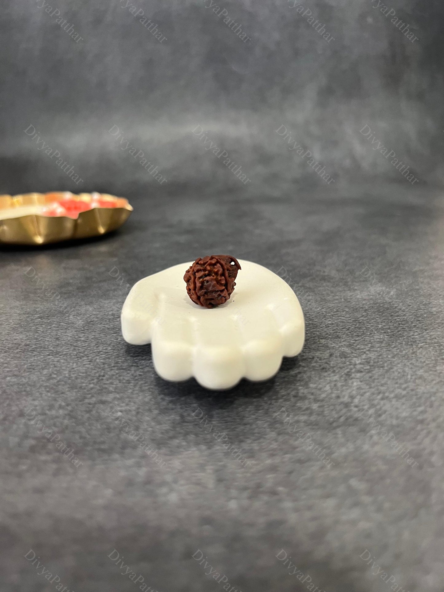 Ganesh Rudraksha (Natural | Nepal Origin)