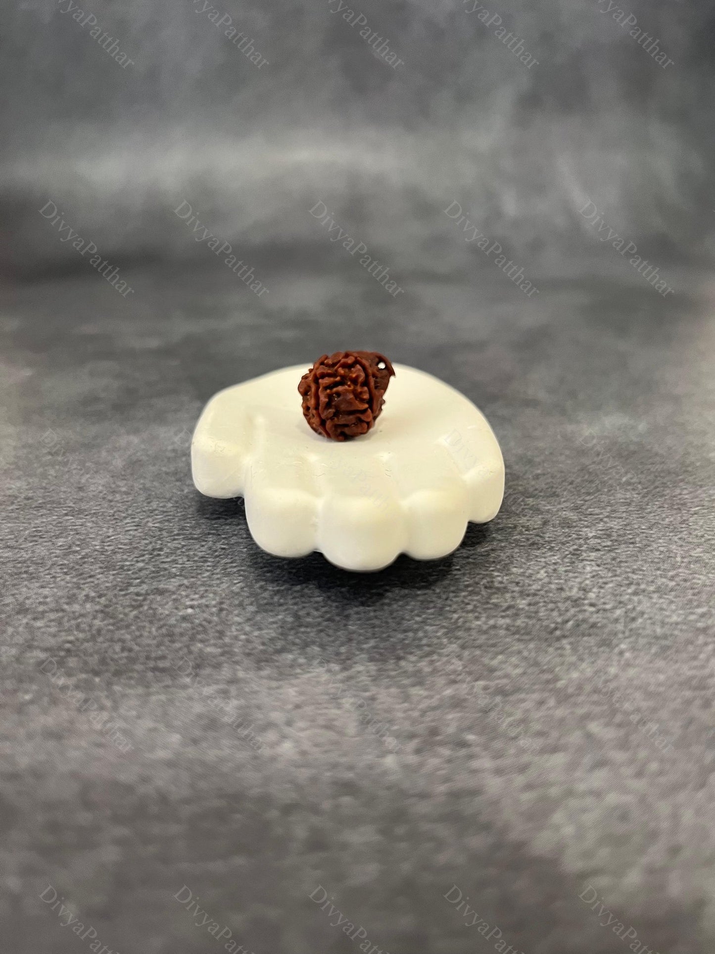 Ganesh Rudraksha (Natural | Nepal Origin)