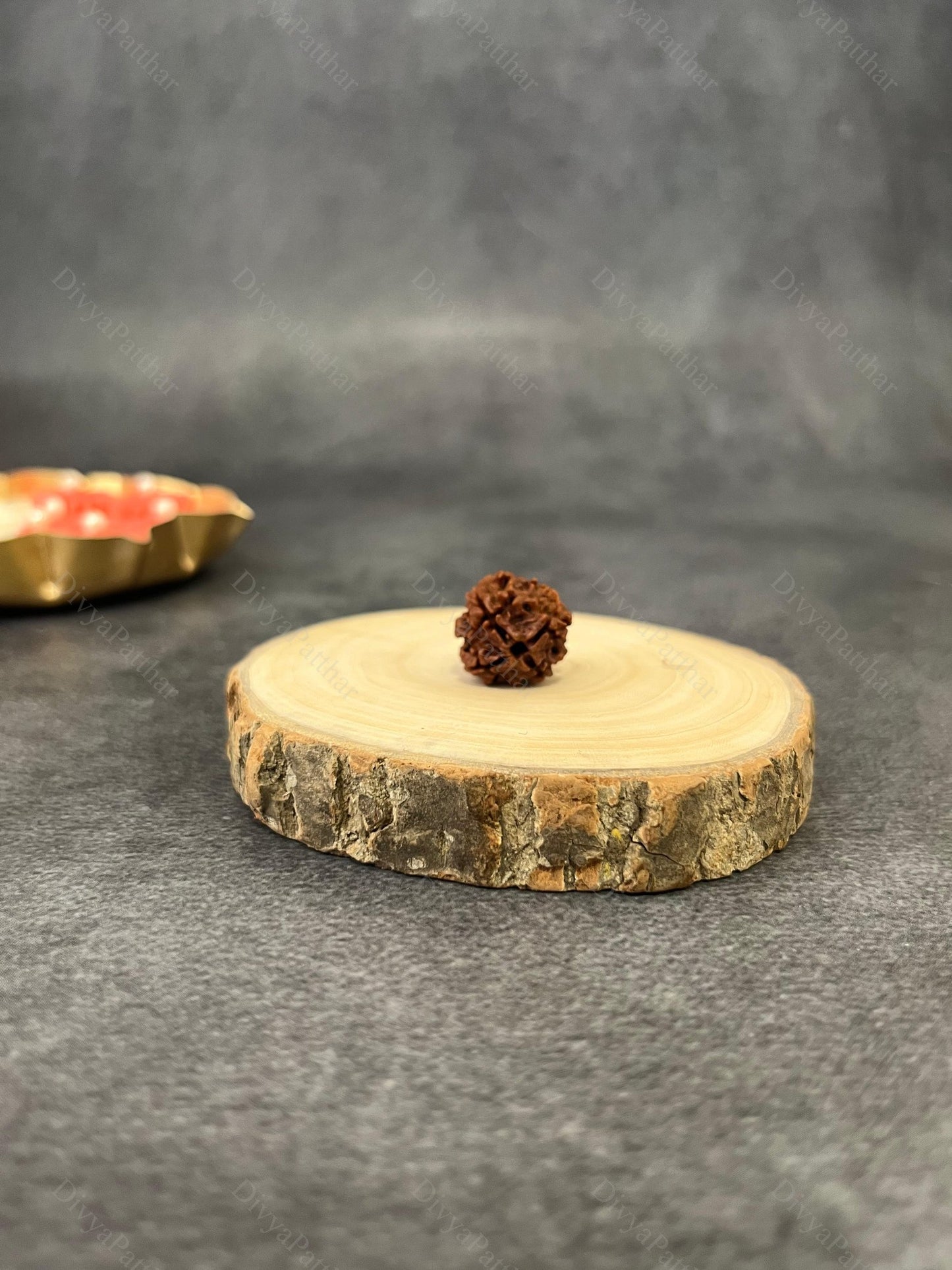 4 Mukhi Rudraksha (Natural | Nepal Origin)