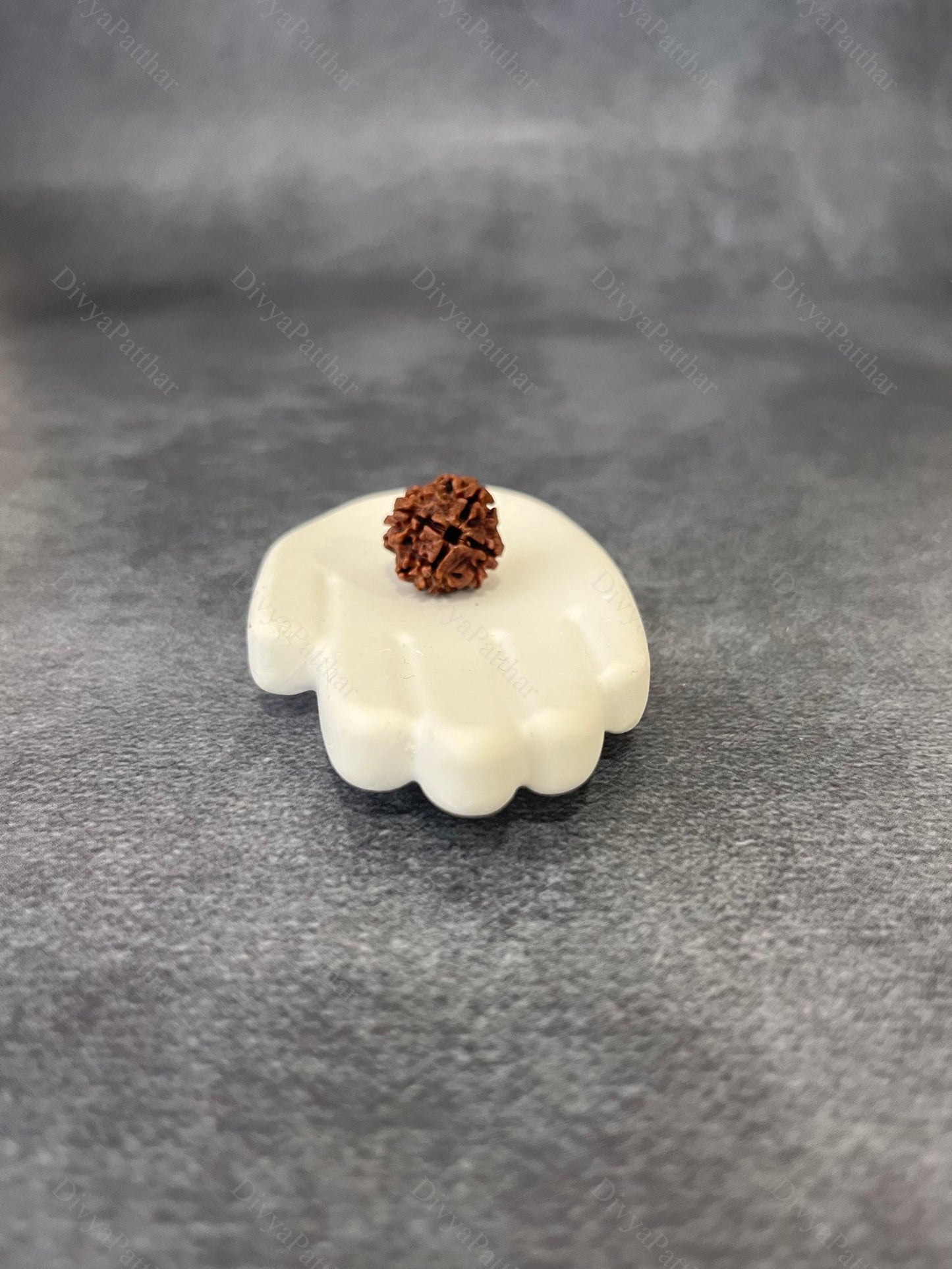 4 Mukhi Rudraksha (Natural | Nepal Origin)