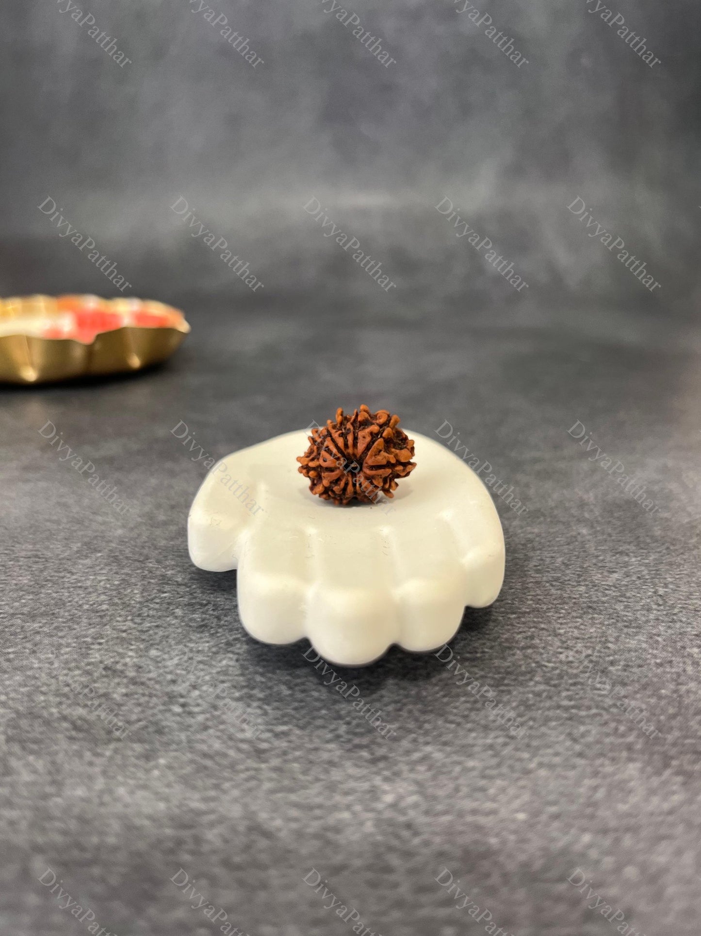 12 Mukhi Rudraksha (Natural | Nepal Origin)