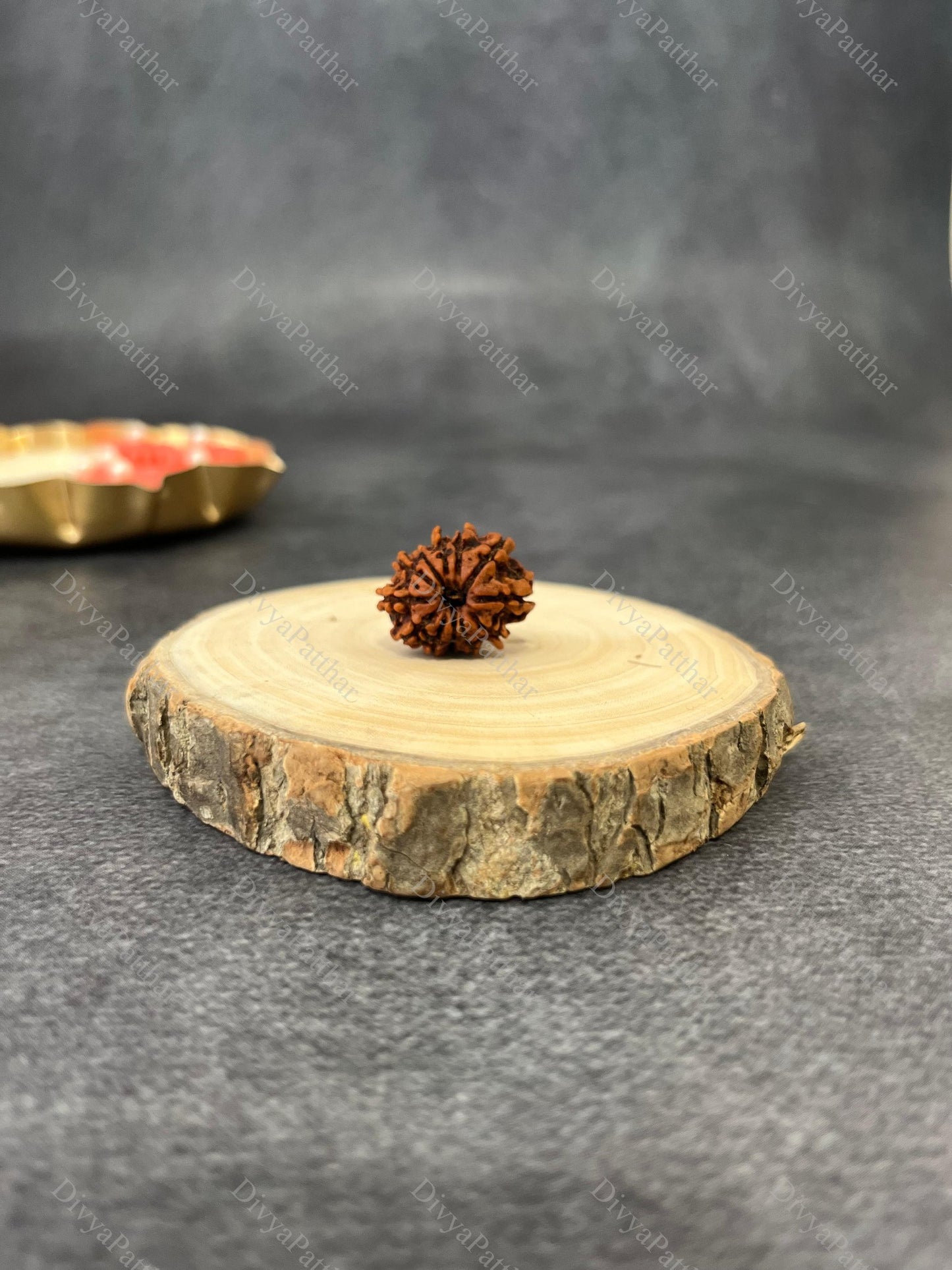 12 Mukhi Rudraksha (Natural | Nepal Origin)