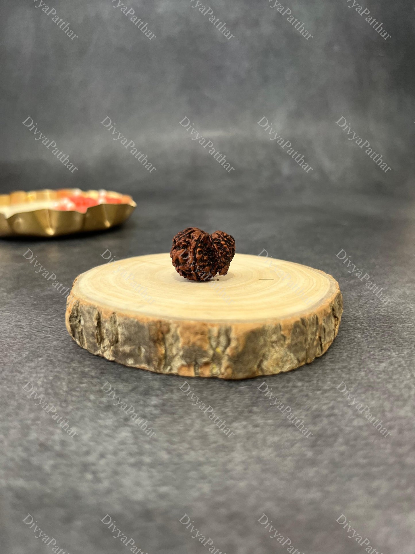 Garbh Gauri Rudraksha (Natural | Nepal Origin)