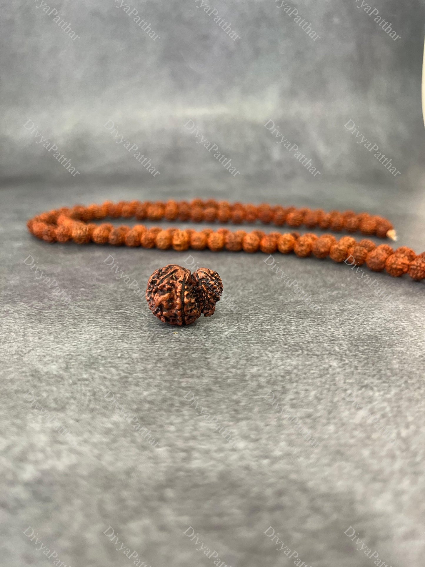 Garbh Gauri Rudraksha (Natural | Nepal Origin)