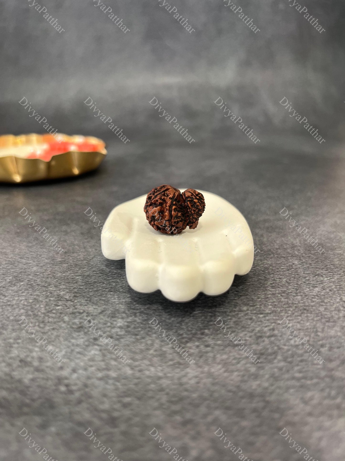 Garbh Gauri Rudraksha (Natural | Nepal Origin)