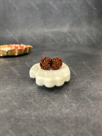 Gauri Shankar Rudraksha (Natural | Nepal Origin)