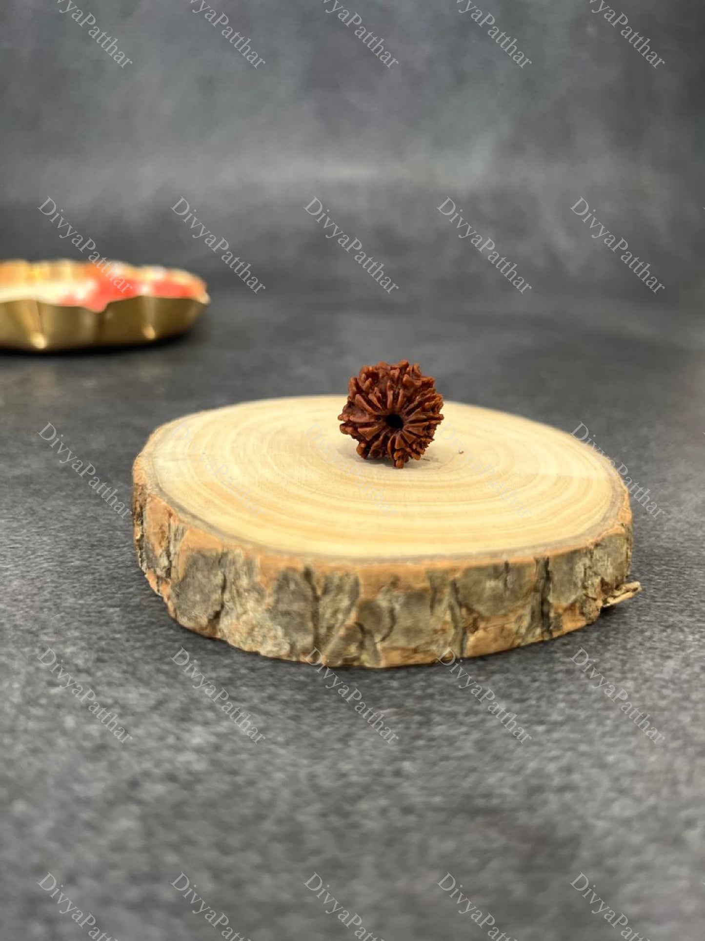 11 Mukhi Rudraksha (Natural | Nepal Origin)
