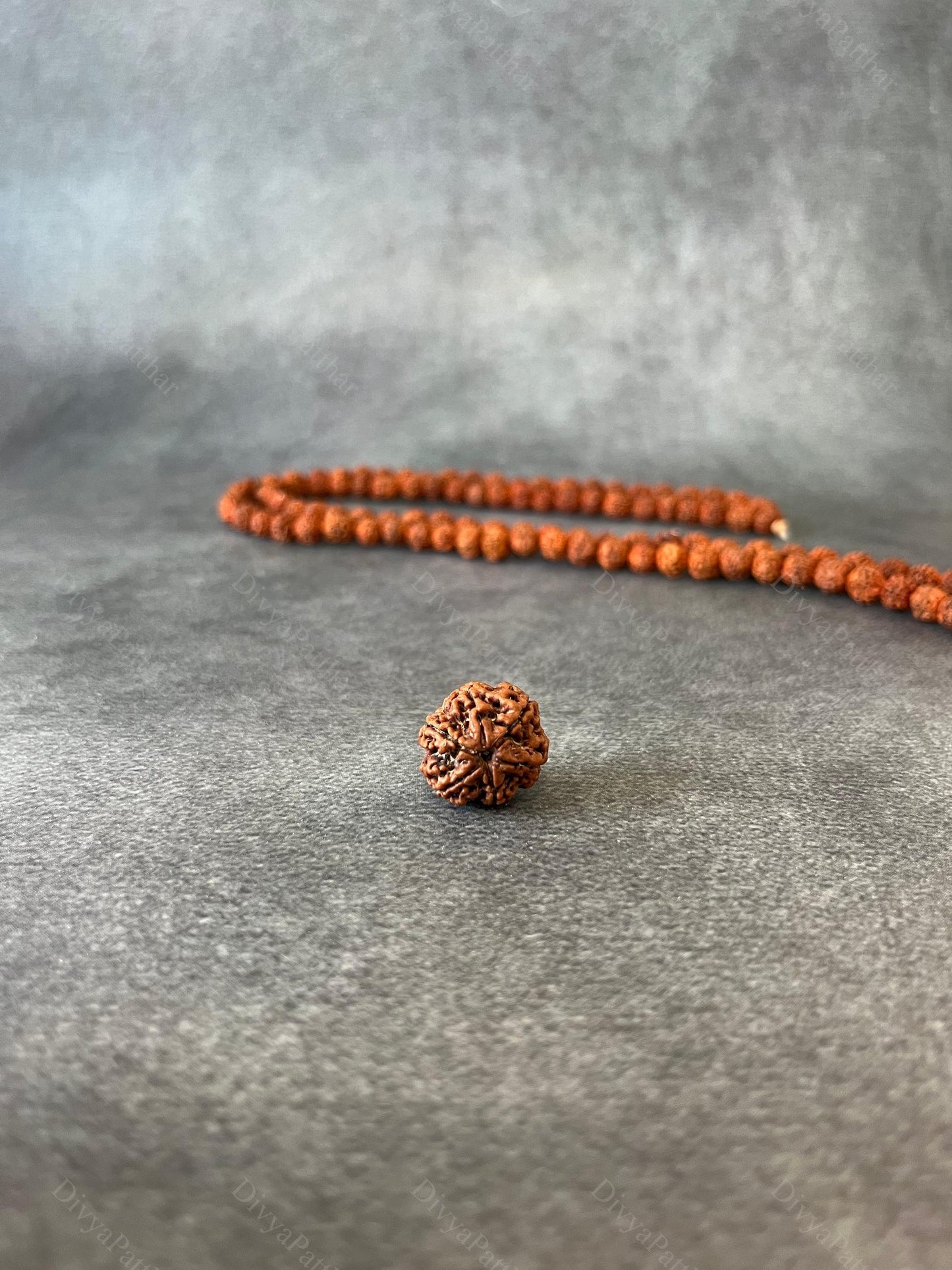 7 Mukhi Rudraksha (Natural | Nepal Origin)