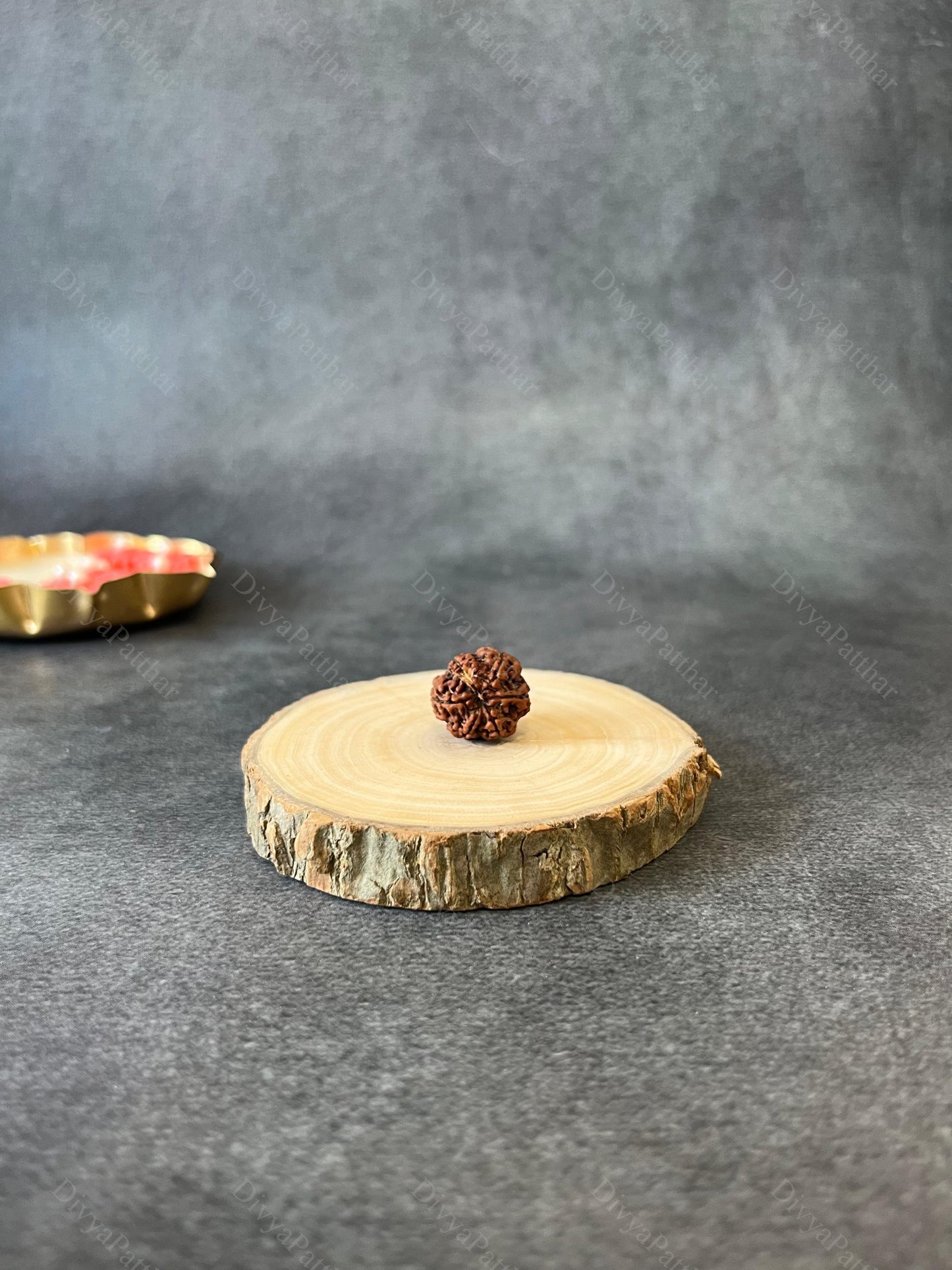 7 Mukhi Rudraksha (Natural | Nepal Origin)