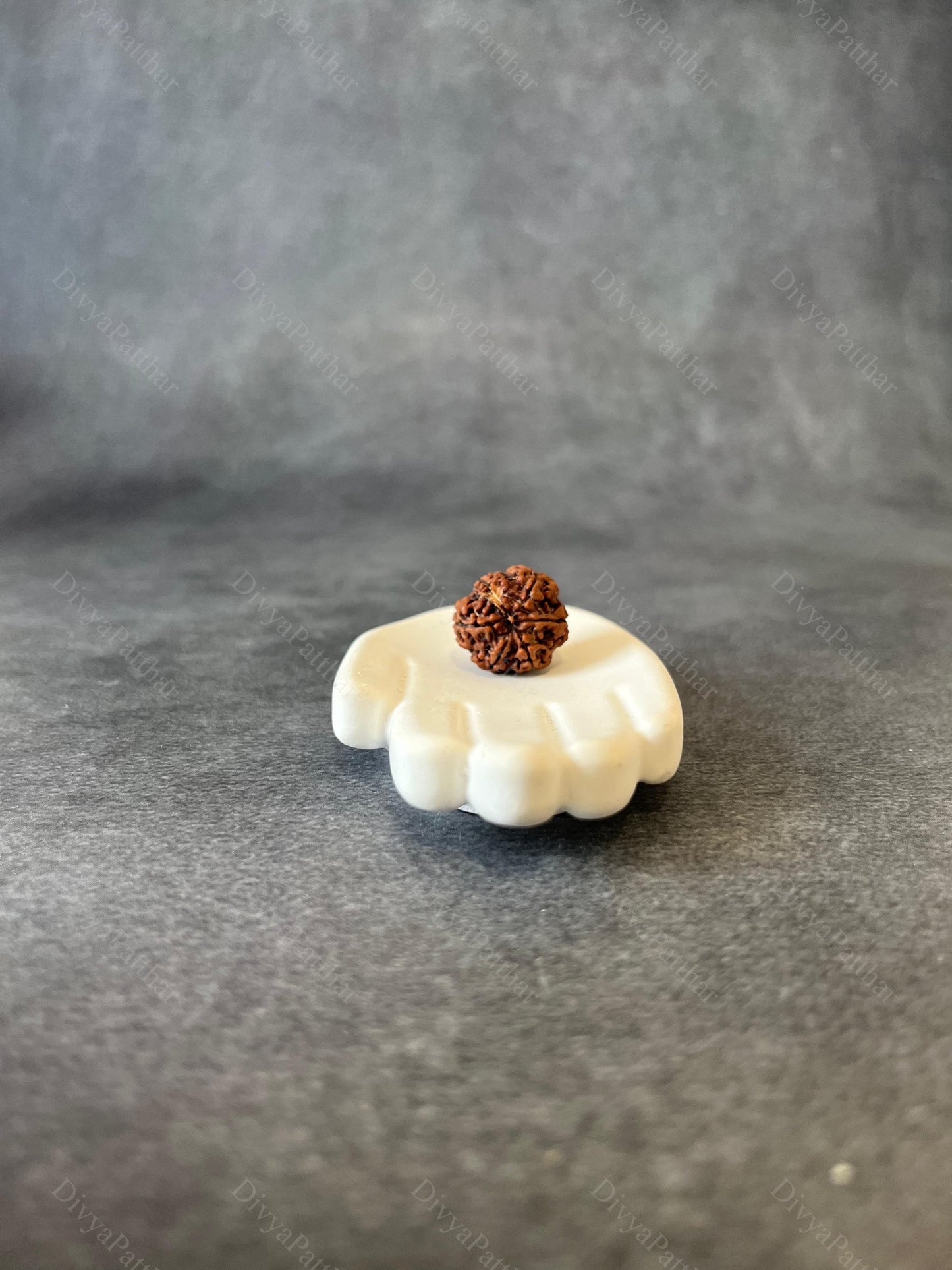 7 Mukhi Rudraksha (Natural | Nepal Origin)