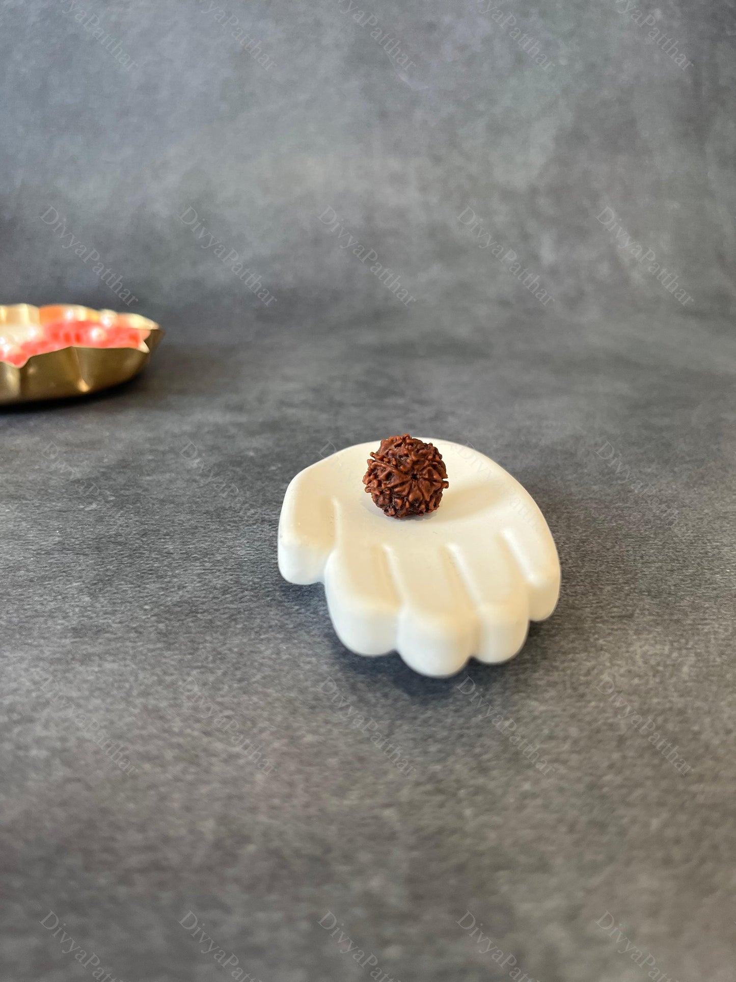 6 Mukhi Rudraksha (Natural | Nepal Origin)