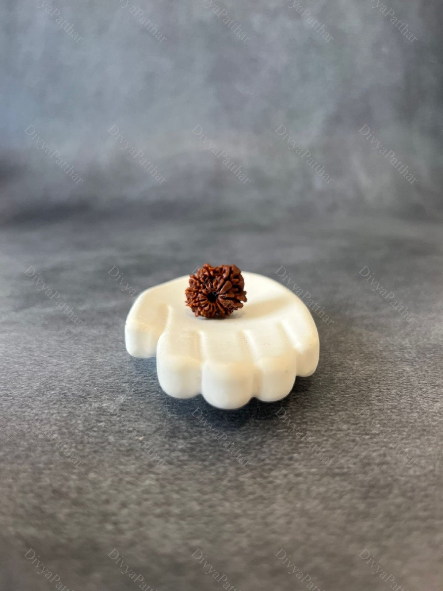 10 Mukhi Rudraksha (Natural | Nepal Origin)