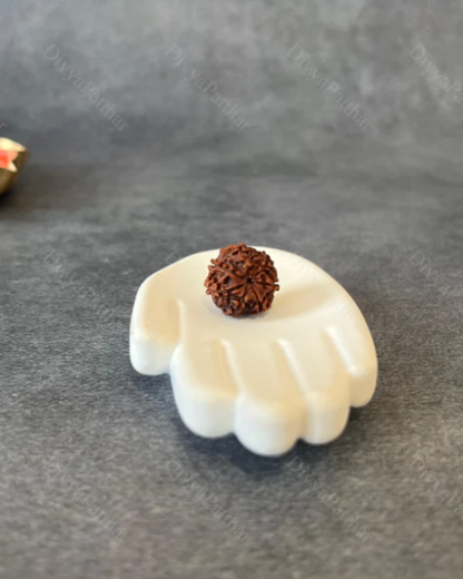 Maha Lakshmi Blessing Combo – (Shri Yantra Frame & 7 Mukhi Rudraksha)