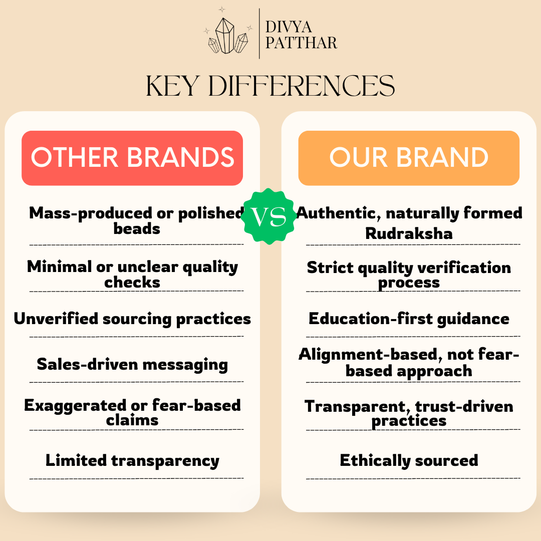 7 Mukhi Rudraksha (Natural | Nepal Origin)