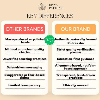 7 Mukhi Rudraksha (Natural | Nepal Origin)