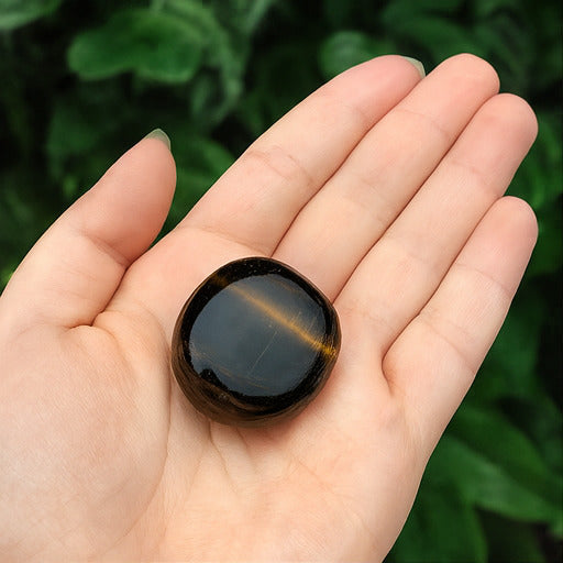 Black Tiger Eye Tumble – Protection, Focus & Inner Strength